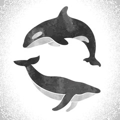 Watercolor killer whale and fin whale isolated on white. Vector set. 