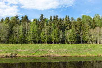 Calm clear river with a forest on the shore and the reflection in the water