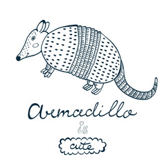 Armadillo is cute.