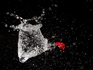 Splash