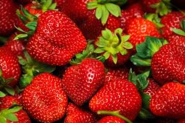Strawberry Closeup