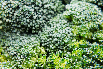 Fresh frozen green broccoli with hoarfrost closeup as background. Healthy vitamin food.