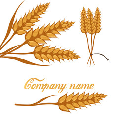 Set of wheat, fields logo design template, harvest, grain, bakery, healthy food.