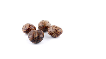 Rubber Seed with white background