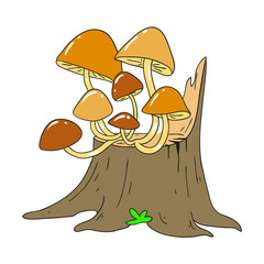 Forest mushrooms. Edible mushroom. Mycelium Vector Mushroom