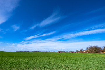 In der Nähe von Ahrenshoop