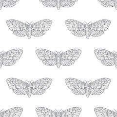 Hand drawn hawk moth vector seamless pattern