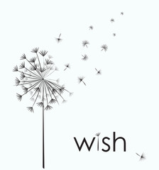 Dandelion vector. Wish. Simple minimalist style.