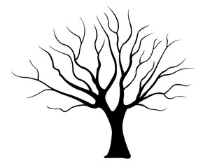 illustration of a tree isolated on white