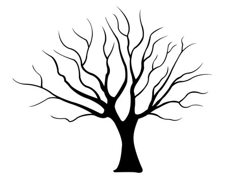 illustration of a tree isolated on white