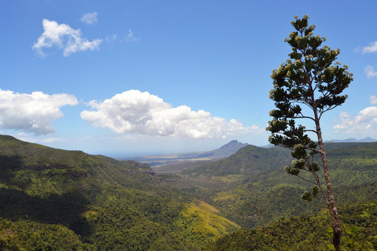 Fototapeta beauty of Mauritius
