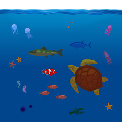 Underwater Inhabitants Sea Life Part 1