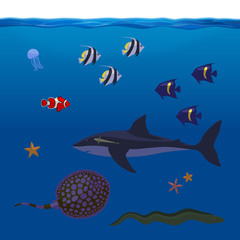 Underwater Inhabitants Sea Life Part 2