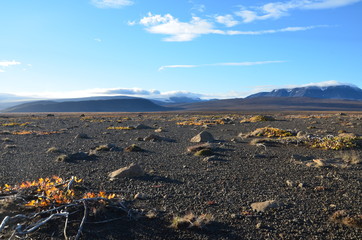 Desert in Iceland highlands with glacier in the background
