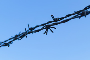 Fence with Barbed Wire