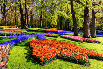 Spring landscape with multicolor tulips in beautiful city park