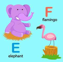 Illustration Isolated Alphabet Letter E-elephant,F-flamingo