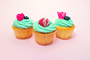 Cupcakes with butter cream and vanilla with raspberry on pink background