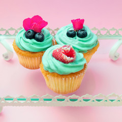 Cupcakes with butter cream and vanilla with raspberry and blueberry with pink flowers on the tray on pink background