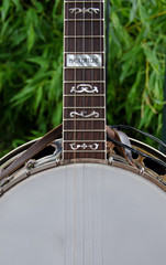 Banjo neck with intricate fretboard inlay