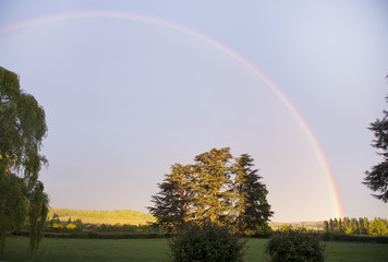Rainbow over field 