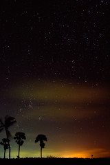 Fototapeta na wymiar Stars night sky above north of Sri Lanka.
