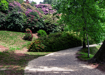 I colori della primavera