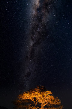 Fototapeta Starry sky and Milky Way arc, with details of its bright colorful core, captured from green oasis in the Namib desert, Namibia, Africa. Adventures into the wild.