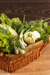 Set of different fresh green vegetables