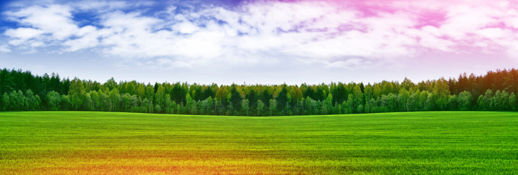 Landscape with the bright green trees and blue sky.