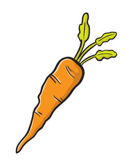 Carrot Vector
