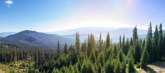 Photo sur Plexiglas Forêt dans le brouillard Mountain view Menchul from Drahobrat .