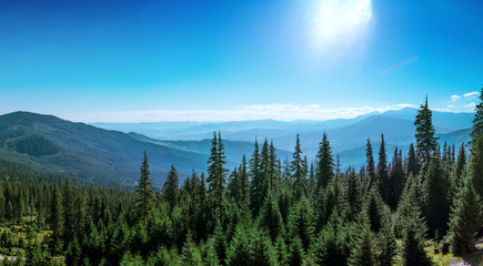 Mountain view Menchul from Drahobrat .