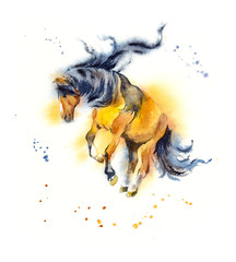 Russian cart-horse. Watercolor hand drawn illustration
