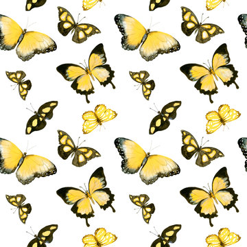Yellow butterflies. Seamless pattern. Watercolor
