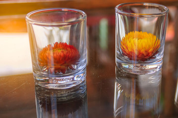 Two glass with flowers for home decor