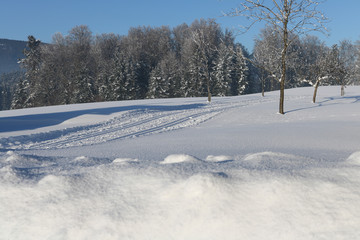 alpen, skilanglauf, österreich, tourismus, langlauf Loipe.