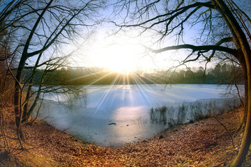 A sunny, cold day in winter at a lake in Brandenburg (Germany)