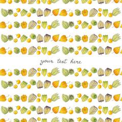 Physalis or chinese lanterns. Seamless watercolor pattern