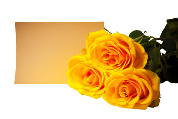 Bouquet of yellow roses with empty card on white background. Selective focus