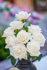 rose