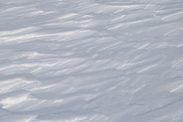 Dessiné par le vent