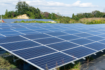Solar panel plant