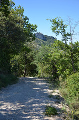 Fototapeta premium dentelles de montmiraille
