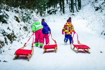 Children are pulling sledge on the mountain road in woods.