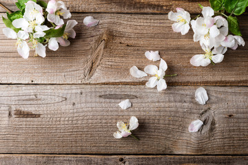 Fototapeta premium Apple blossom on rustic wooden background