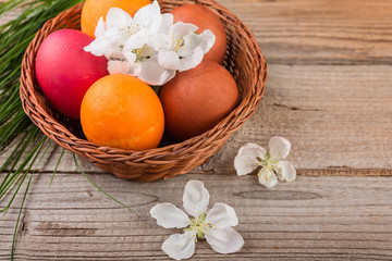 Easter eggs  and apple flowers on wooden background, Easter theme