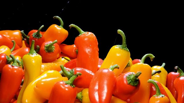 While in the produce section, a grocer sprays cool water over vibrant mini bell peppers to keep them fresh.