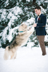 Groom in winter with dog malamute playing in snow.