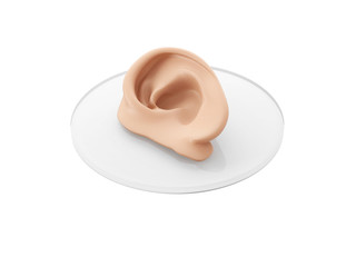 bioprinting of human ear